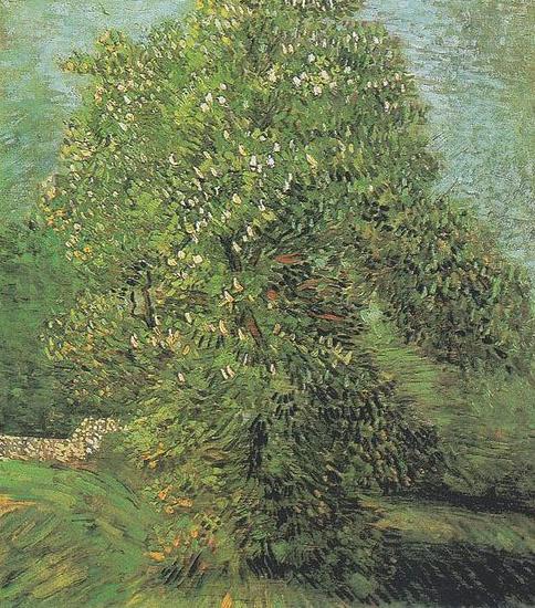 Vincent Van Gogh Blossoming Chestnut Tree oil painting picture